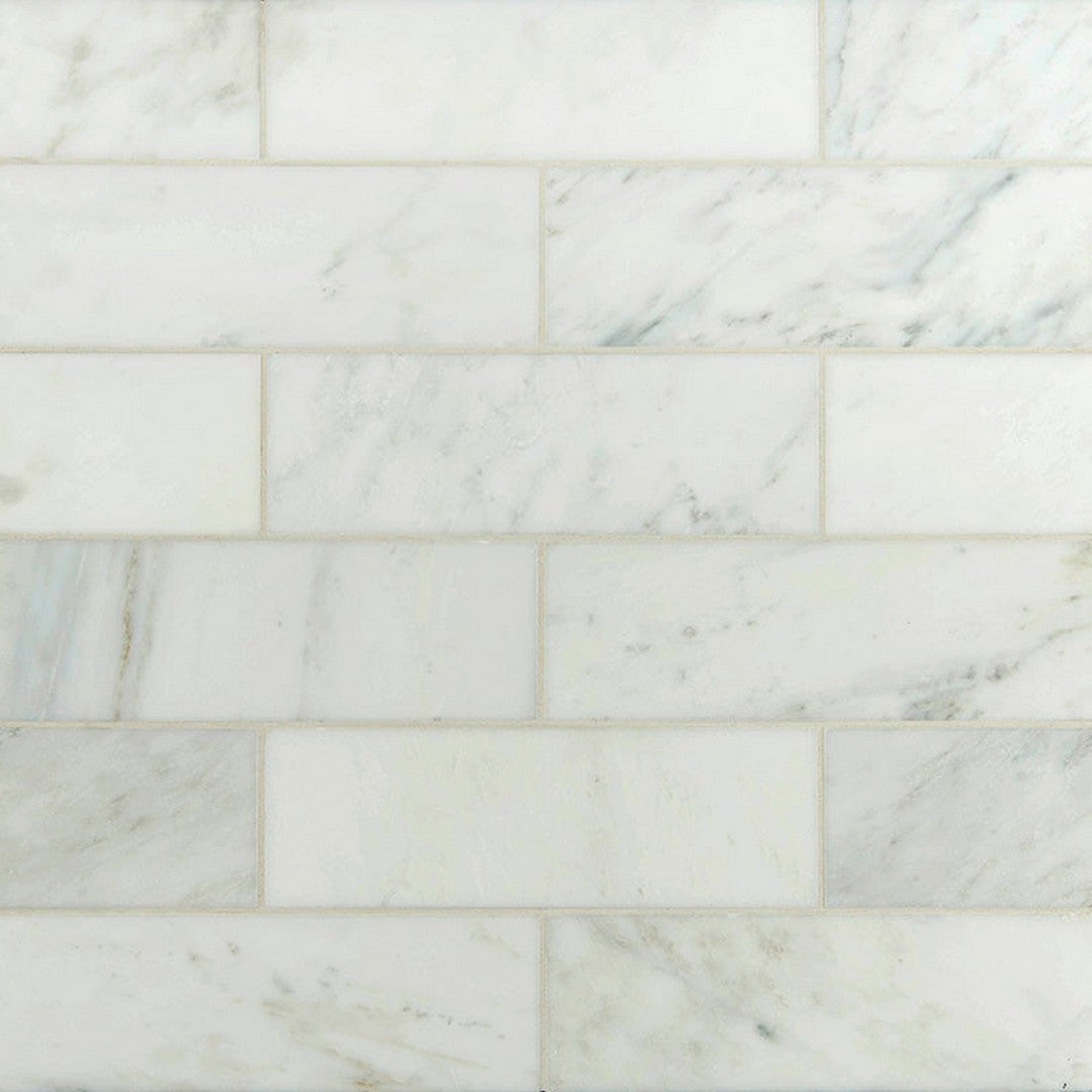 MS International Arabescato Carrara 12" x 24" Honed Marble Tile