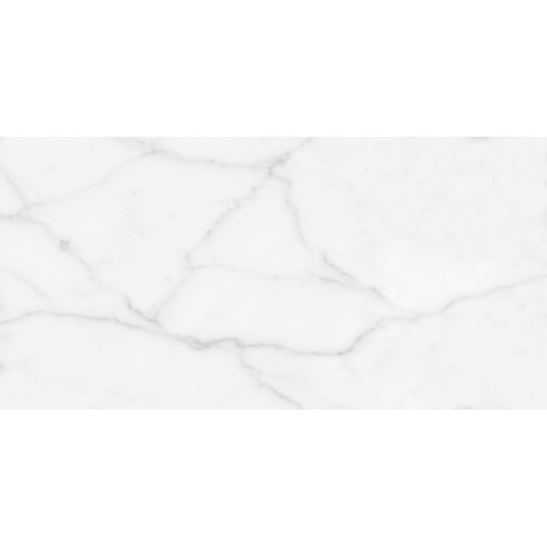 Tesoro Terreno 12" x 24" Rectified Glossy Ceramic Wall Tile