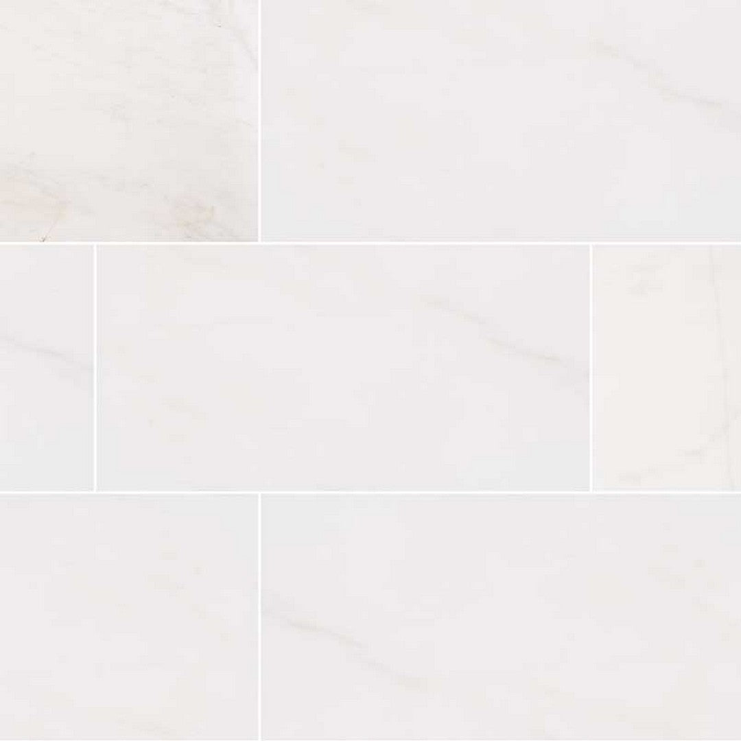 MS International Bianco Dolomite 12" x 24" Honed Marble Tile