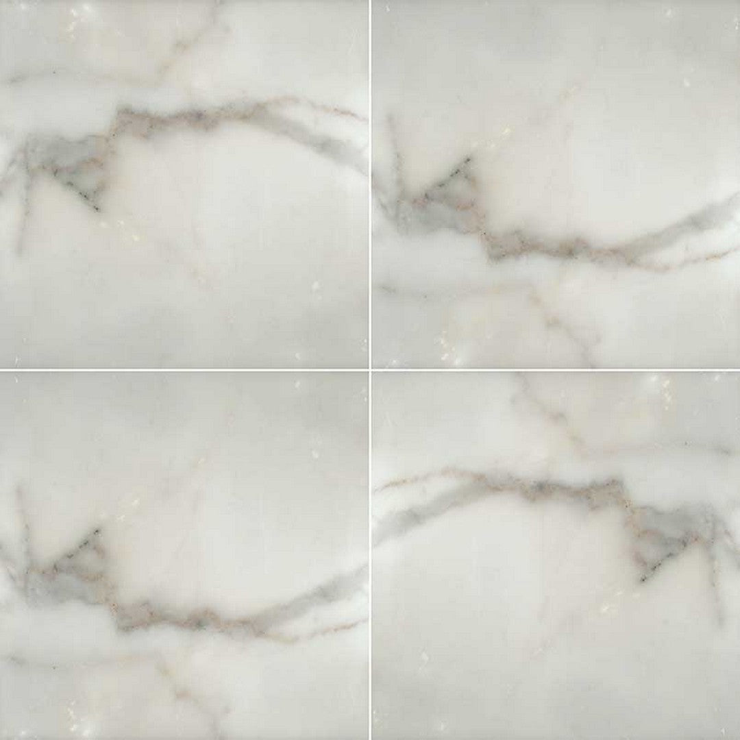 MS International Calacatta Gold 12" x 12" Polished Marble Tile