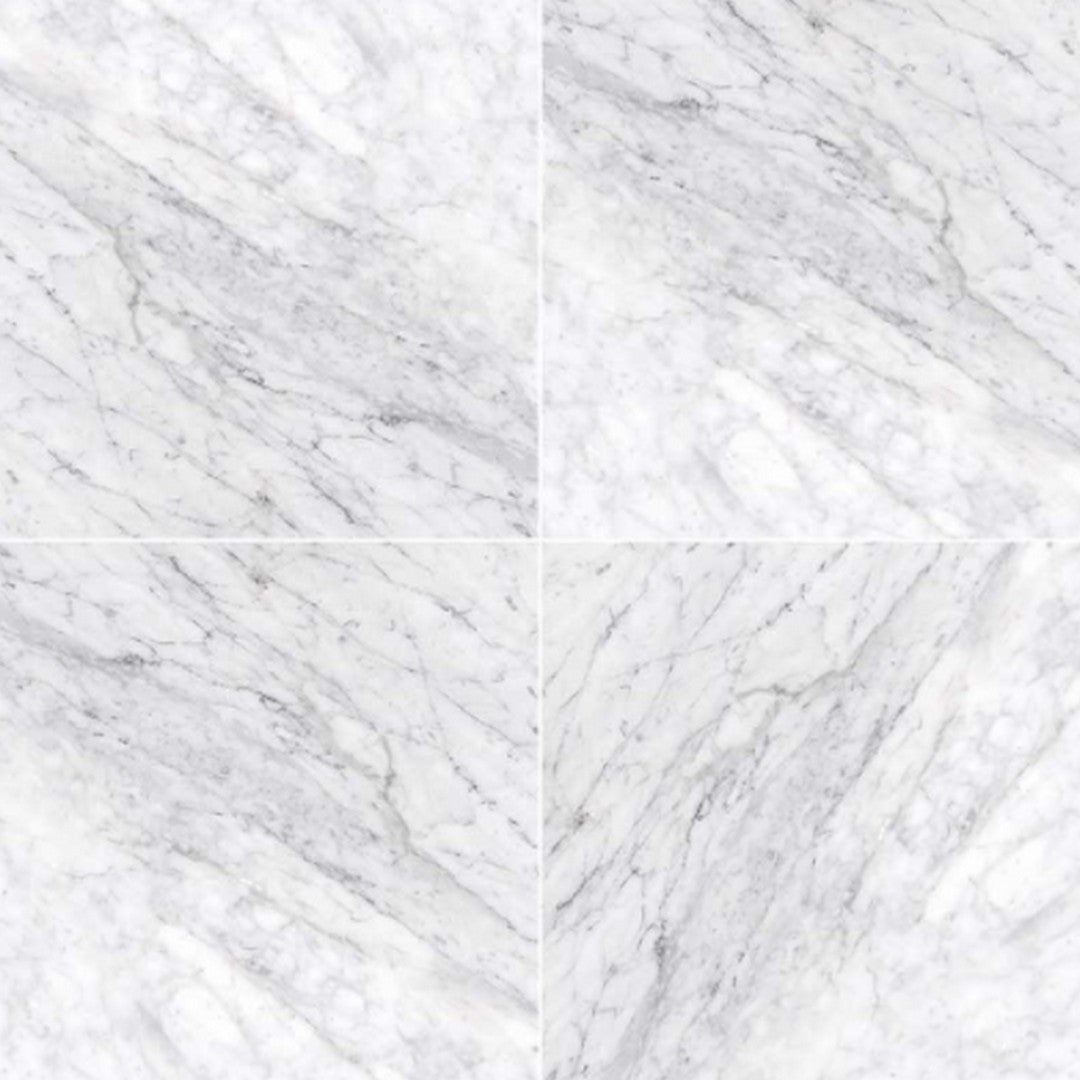 MS International Carrara White 12" x 12" Honed Marble Tile
