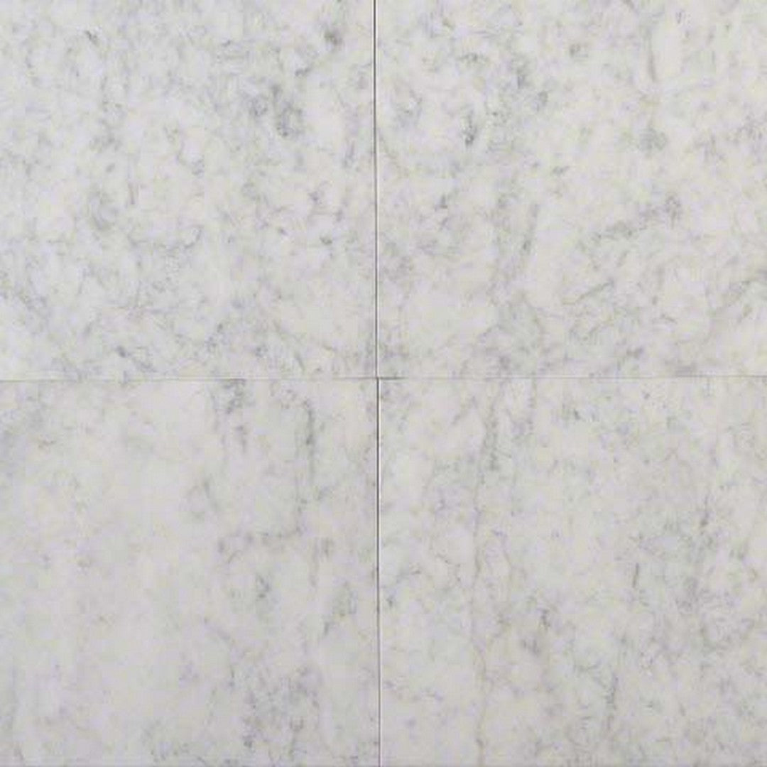 MS International Carrara White 12" x 24" Polished Marble Tile