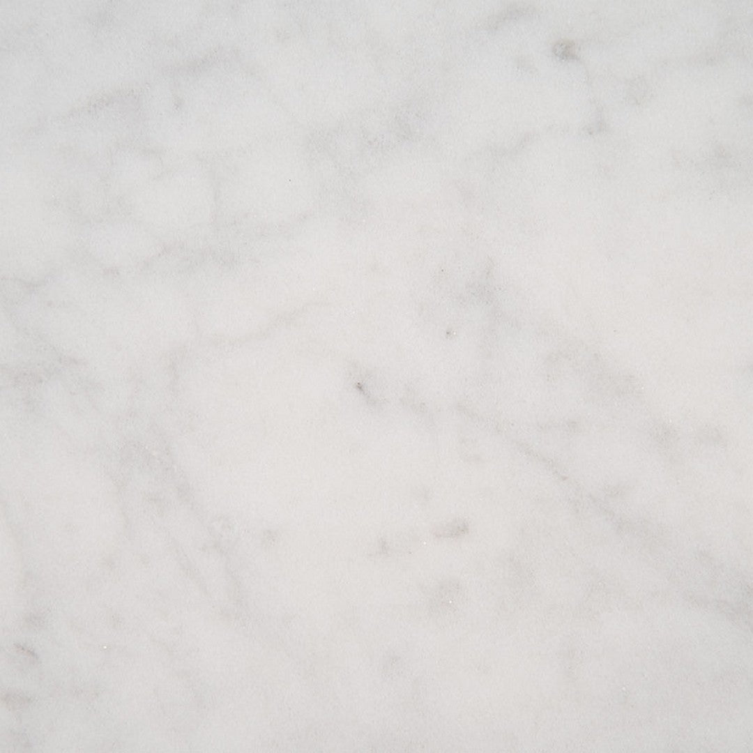 MS International Carrara White 24" x 24" Polished Marble Tile