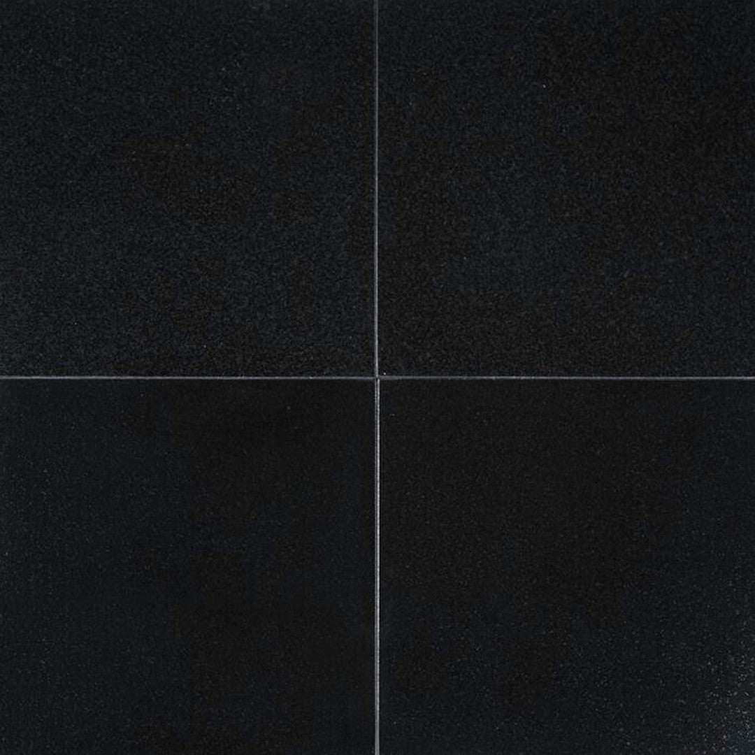MS International Absolute Black 12" x 12" Polished Granite Wall and Floor Tile