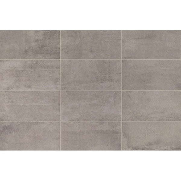 Chesapeake Delaware 24" x 48" Matte Porcelain Tile