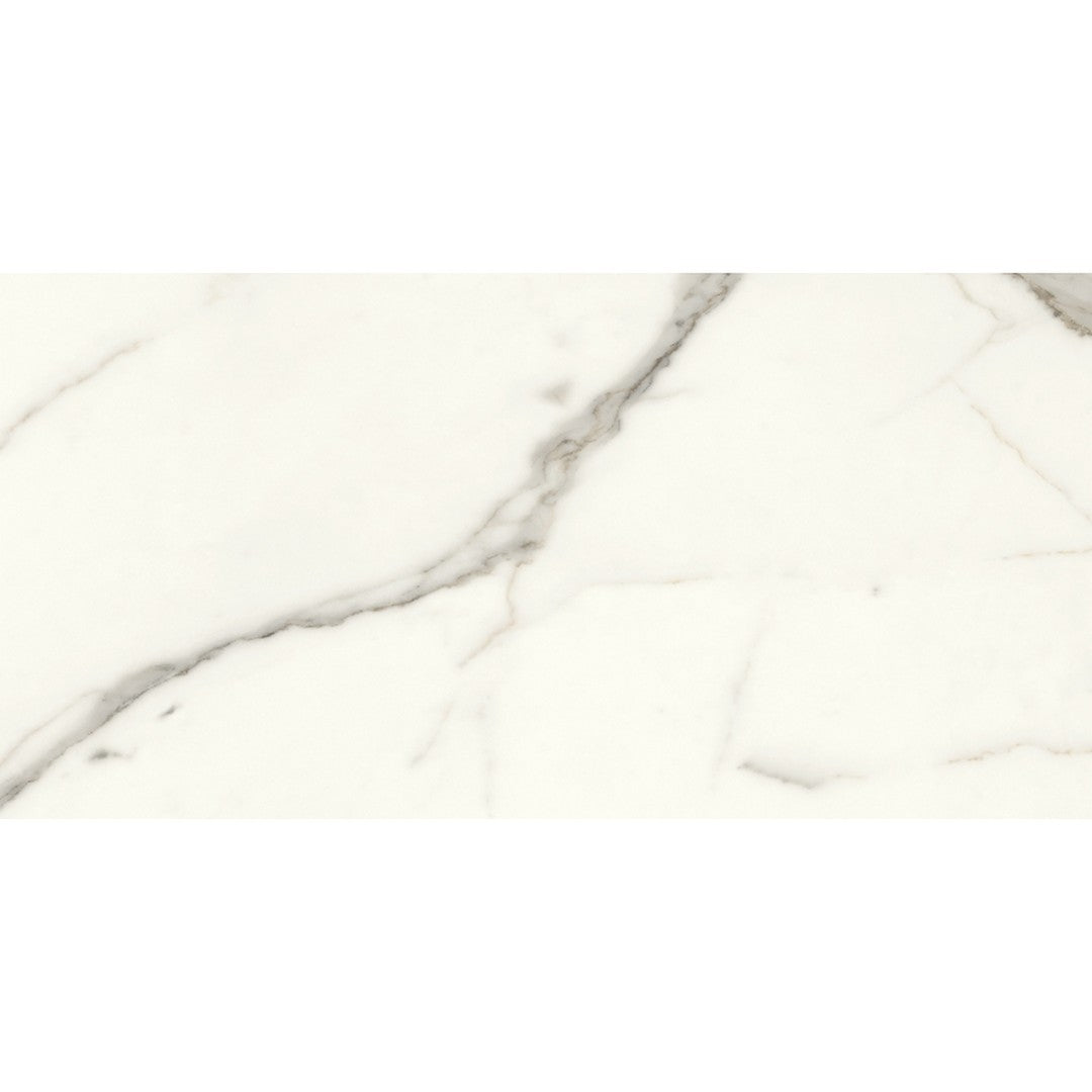 Emser Expanse Dynamix 12" x 24" Rectified Polished Porcelain Tile
