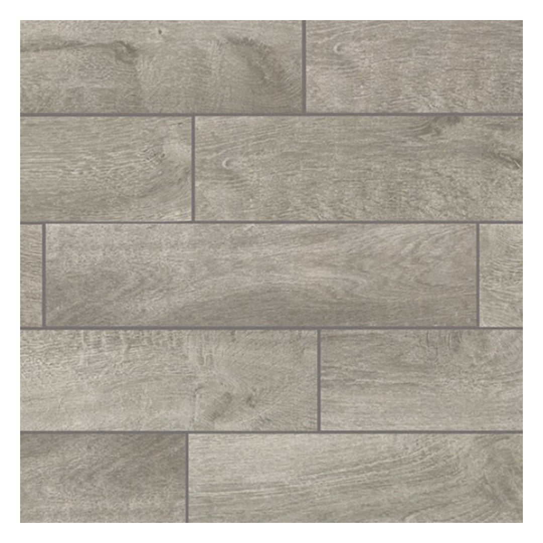 Daltile Platinum 6