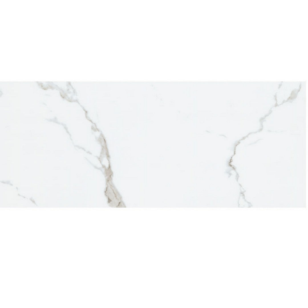 MS International Glenridge 12" x 24" Low Gloss Luxury Vinyl Tile