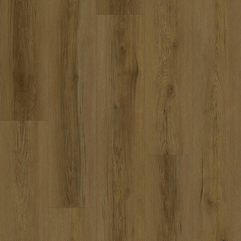 Parkay Floors Force 8" x 48" Laminate Plank