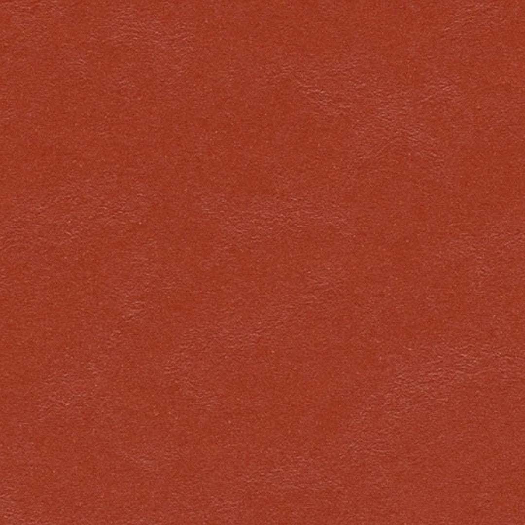 Forbo Marmoleum Modular Color 19.69" x 19.69" Smooth Vinyl Tile