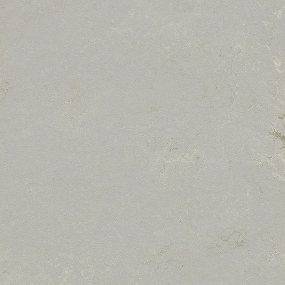 Forbo Marmoleum Modular 9.8x9.8 Vinyl Tile in Smooth Surface