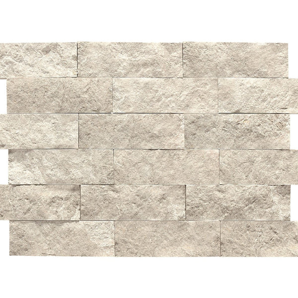 Stacked Stone Wall Tile Siavonce 1 Ft. X 2 Ft. Natural Slate