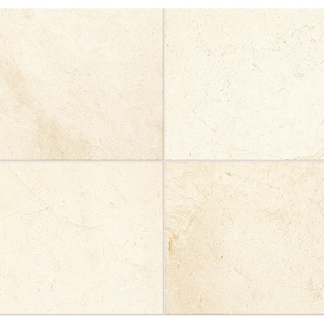 Daltile Marble 24" x 24" Honed