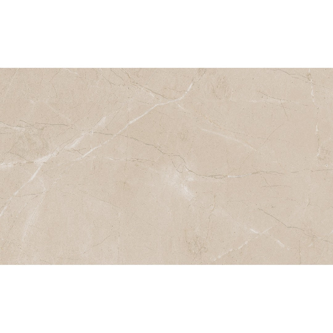 Daltile Perpetuo 12" x 24" Polished